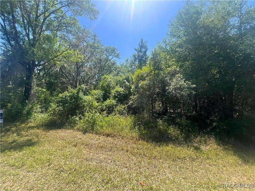 0.29 Acres of Residential Land for Sale in Hernando, Florida