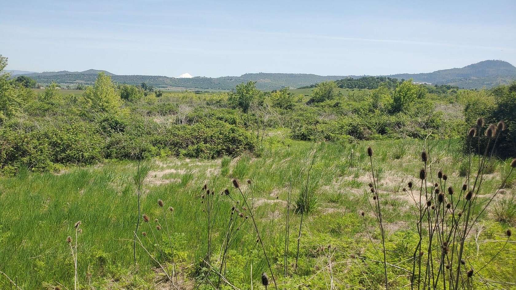 13.5 Acres of Mixed-Use Land for Sale in Medford, Oregon