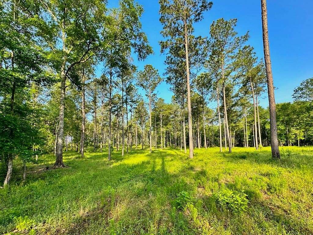 38 Acres of Recreational Land for Sale in Shelbyville, Texas