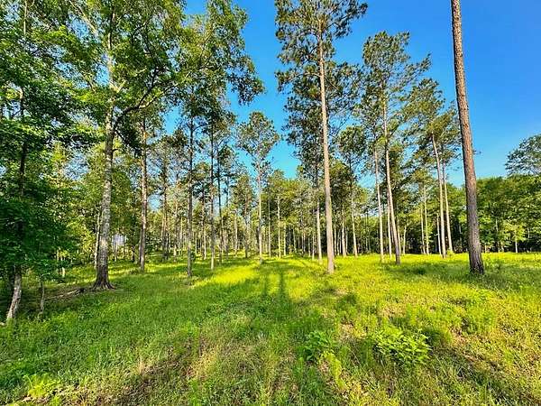 38 Acres of Recreational Land for Sale in Shelbyville, Texas