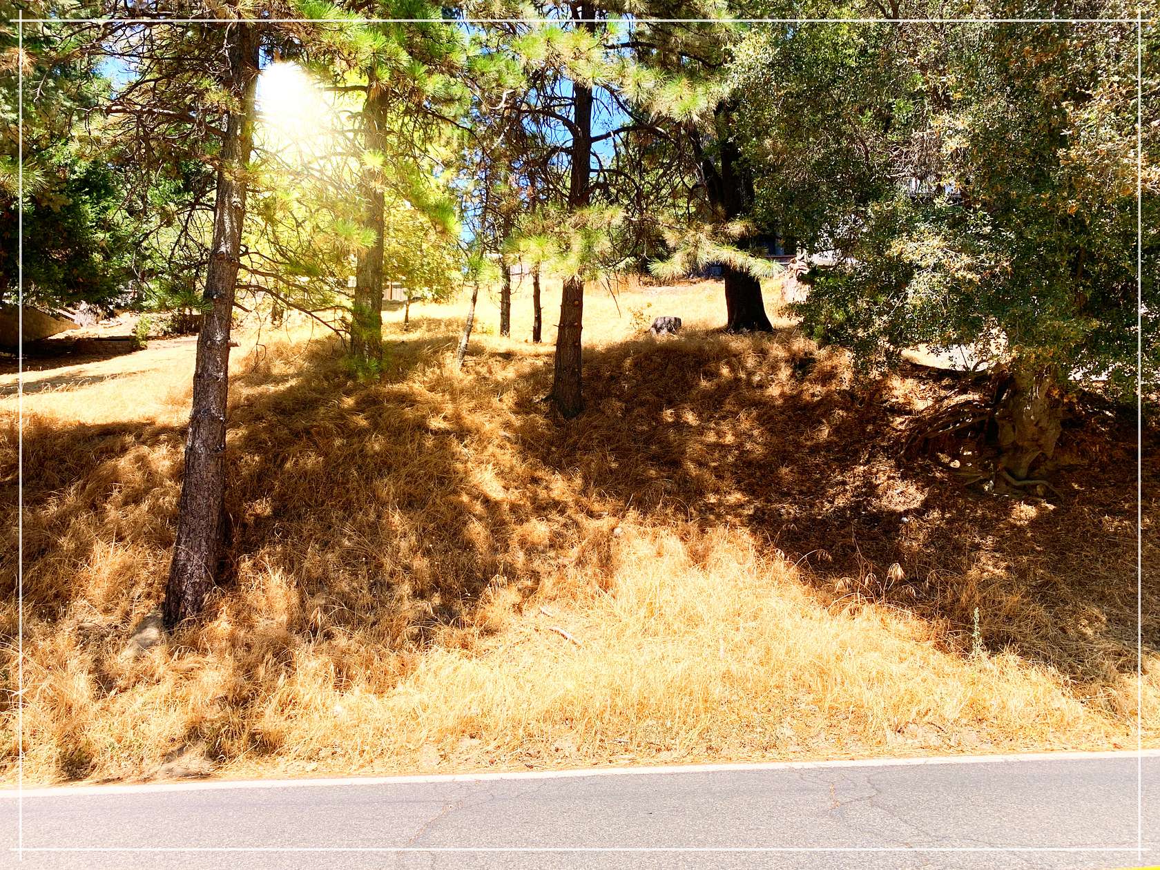 0.14 Acres of Residential Land for Sale in Crestline, California
