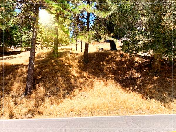 0.14 Acres of Residential Land for Sale in Crestline, California
