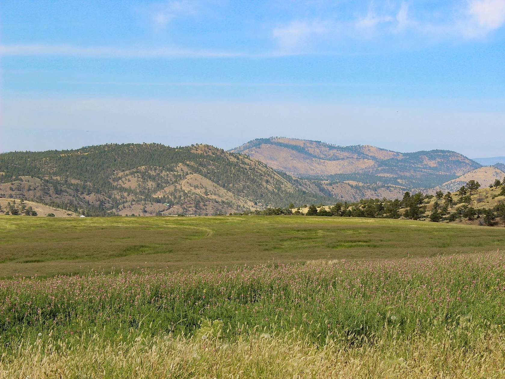 161 Acres of Land for Sale in Helena, Montana