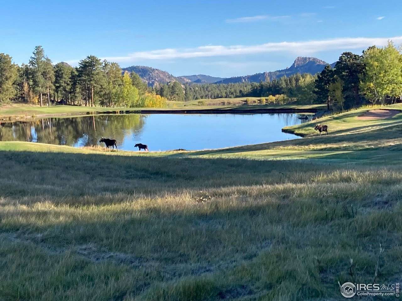 0.25 Acres of Land for Sale in Red Feather Lakes, Colorado