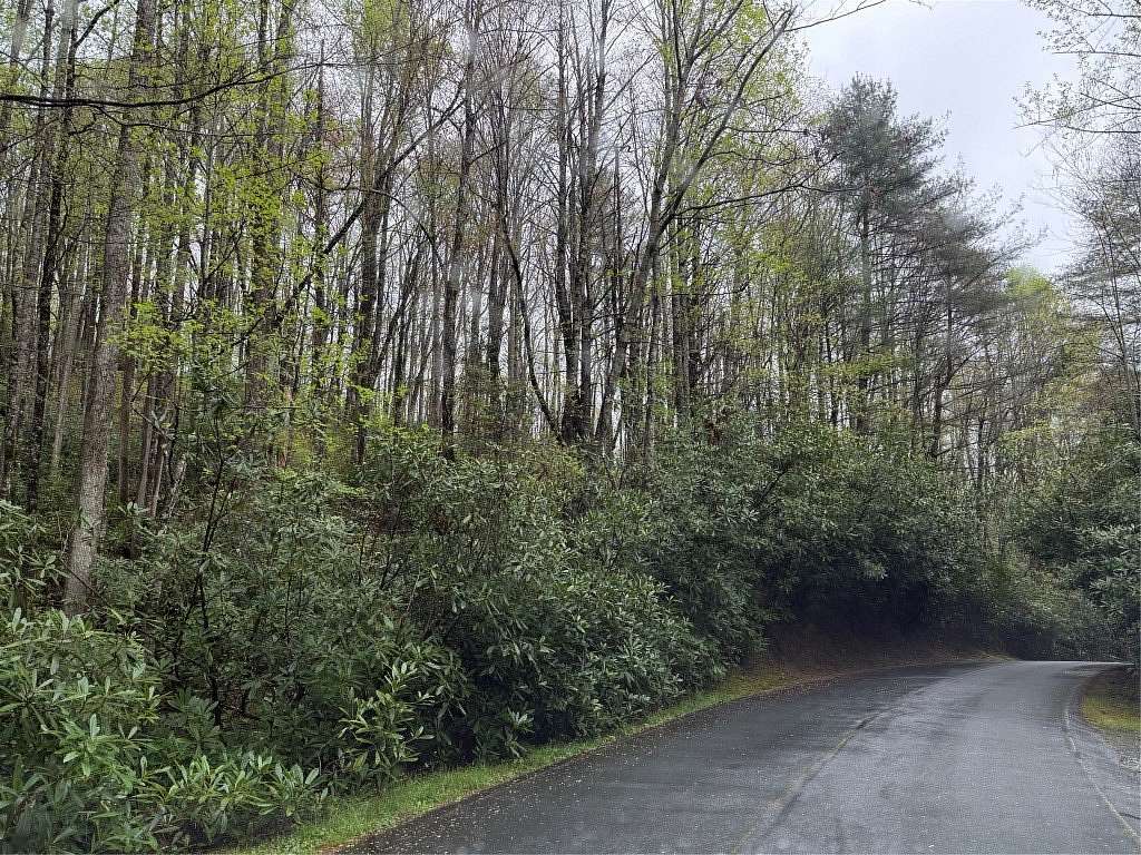 0.7 Acres of Land for Sale in Sapphire, North Carolina