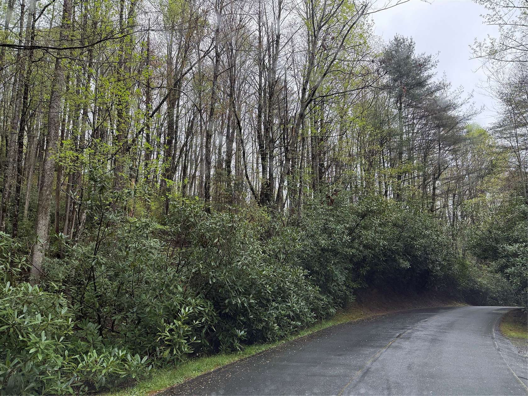 0.7 Acres of Land for Sale in Sapphire, North Carolina