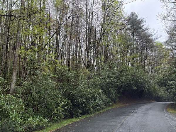 0.7 Acres of Land for Sale in Sapphire, North Carolina