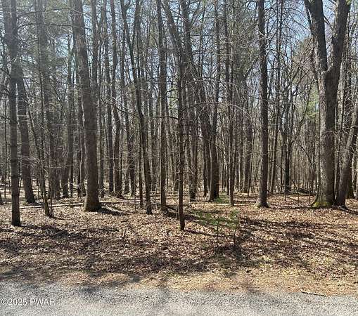 1 Acre of Residential Land for Sale in Hawley, Pennsylvania