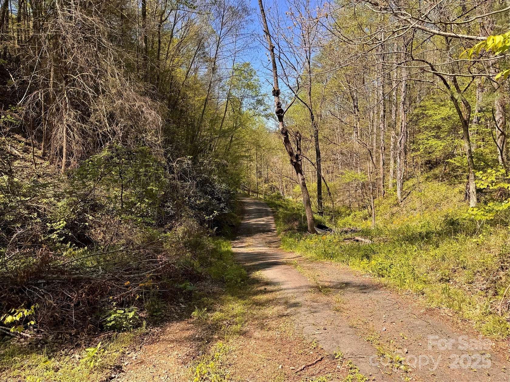 10.3 Acres of Land for Sale in Green Mountain, North Carolina