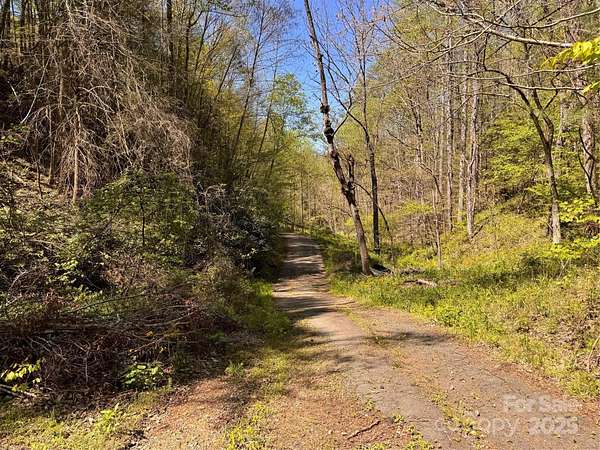 10.3 Acres of Land for Sale in Green Mountain, North Carolina