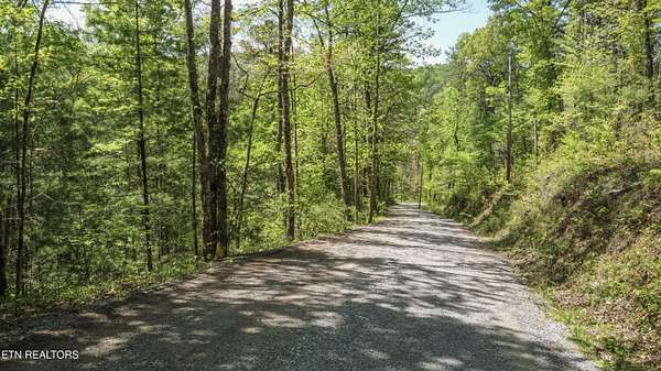 5.56 Acres of Residential Land for Sale in Walland, Tennessee