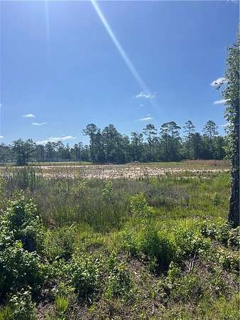 1.69 Acres of Improved Commercial Land for Sale in Eulonia, Georgia