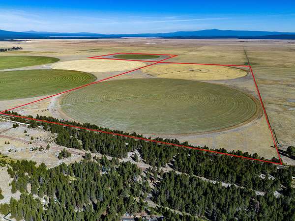 467 Acres of Agricultural Land for Sale in Chiloquin, Oregon