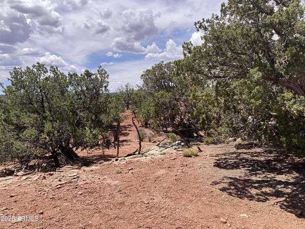 40.3 Acres of Recreational Land for Sale in White Mountain Lake, Arizona