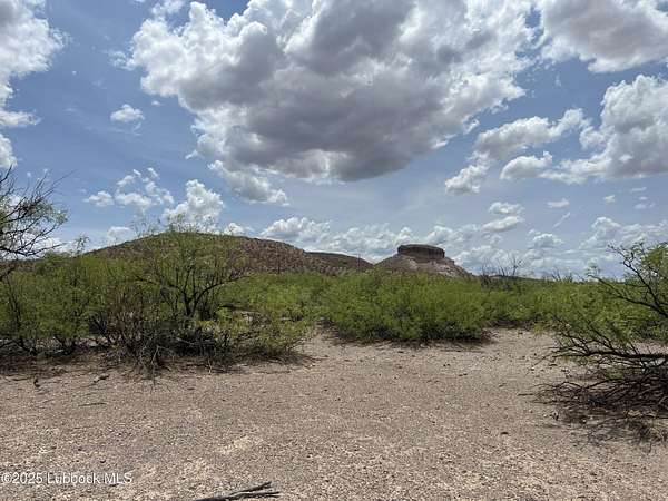 10 Acres of Recreational & Residential Land for Sale in Presidio, Texas