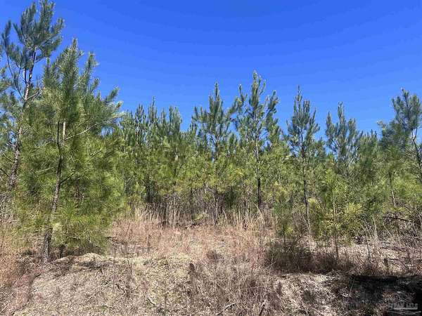 25 Acres of Recreational Land for Sale in Atmore, Alabama