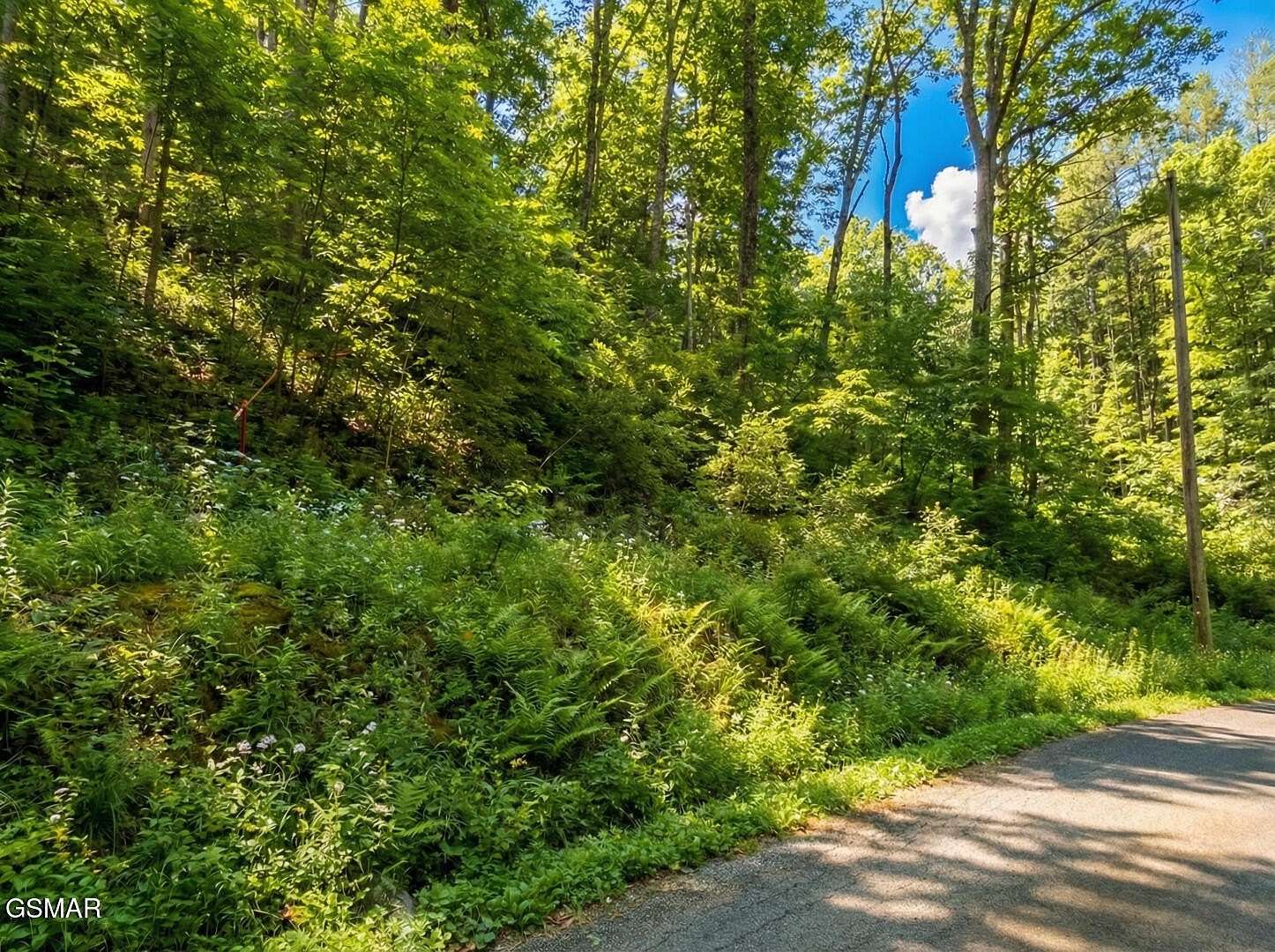 2.39 Acres of Land for Sale in Newport, Tennessee