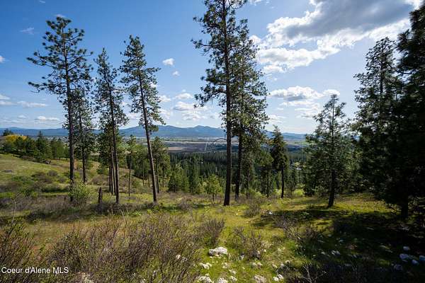 9.77 Acres of Residential Land for Sale in Hauser, Idaho