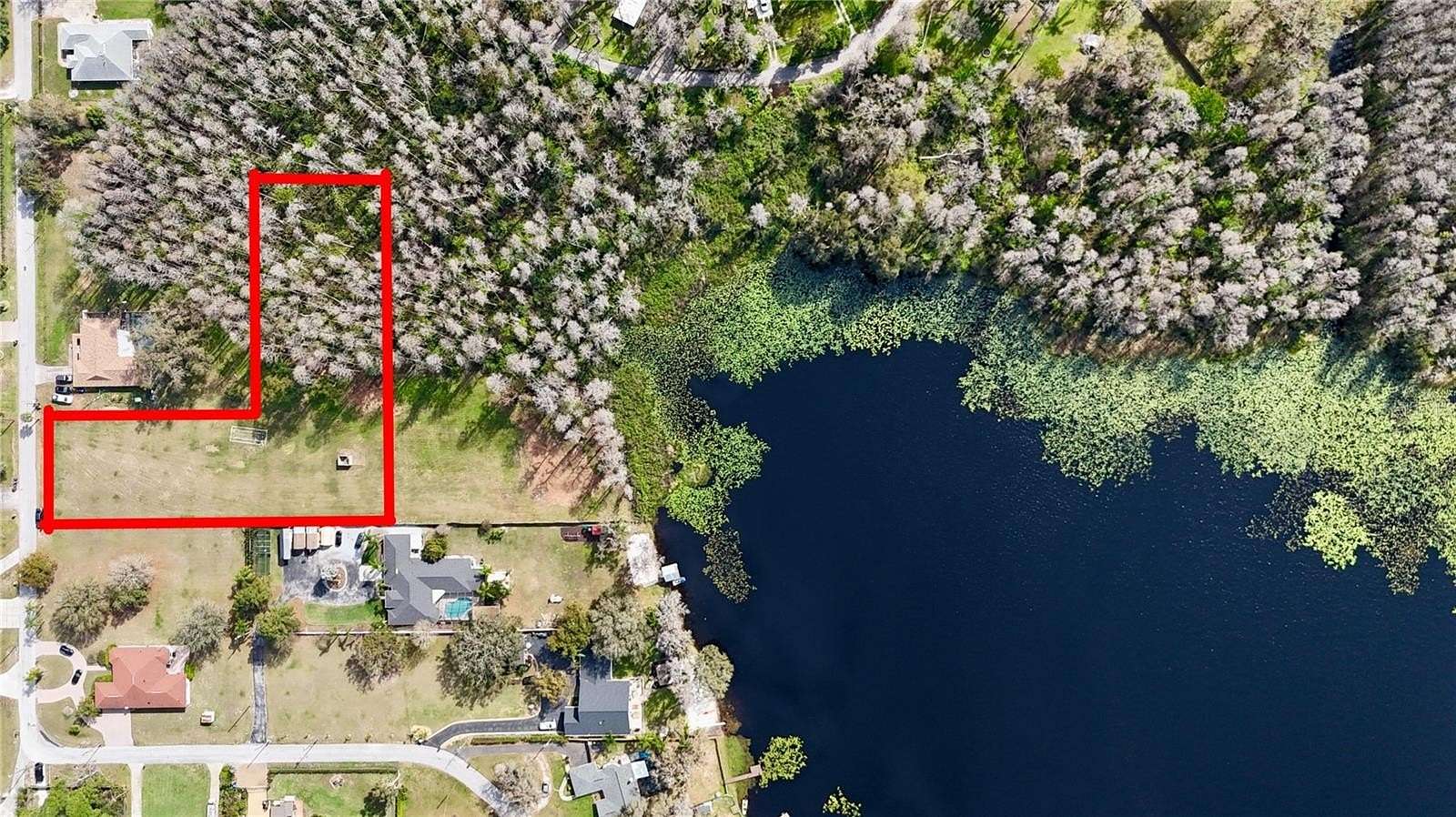 1.25 Acres of Residential Land for Sale in Lutz, Florida