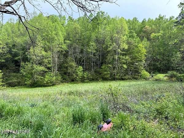 5 Acres of Land for Sale in New Tazewell, Tennessee