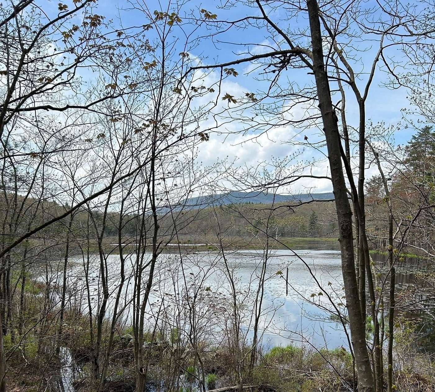 11.1 Acres of Land for Sale in Dublin, New Hampshire