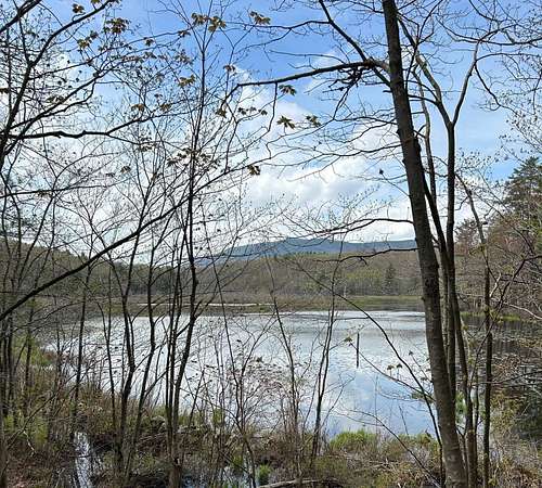 11.1 Acres of Land for Sale in Dublin, New Hampshire