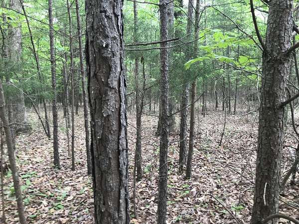10 Acres of Land for Sale in Dunlap, Tennessee