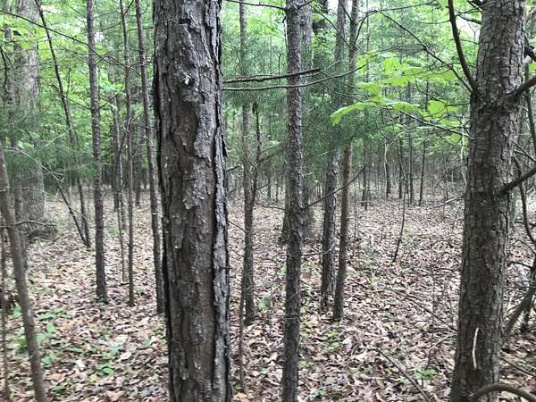 10 Acres of Land for Sale in Dunlap, Tennessee