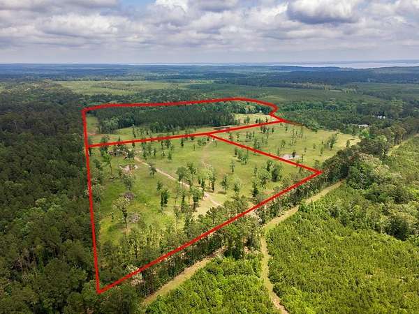 53 Acres of Recreational Land & Farm for Sale in Shelbyville, Texas