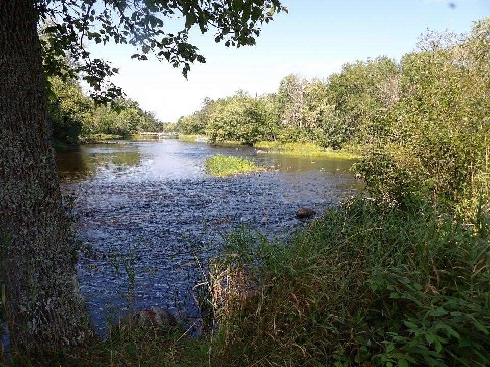 0.51 Acres of Land for Sale in Loretta, Wisconsin