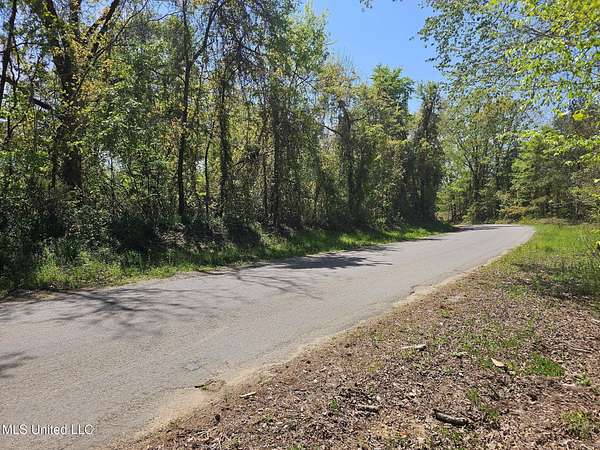 20 Acres of Recreational Land for Sale in Ripley, Mississippi