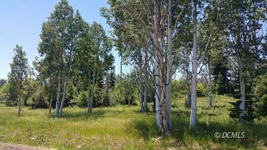 1 Acre of Residential Land for Sale in Virgin, Utah