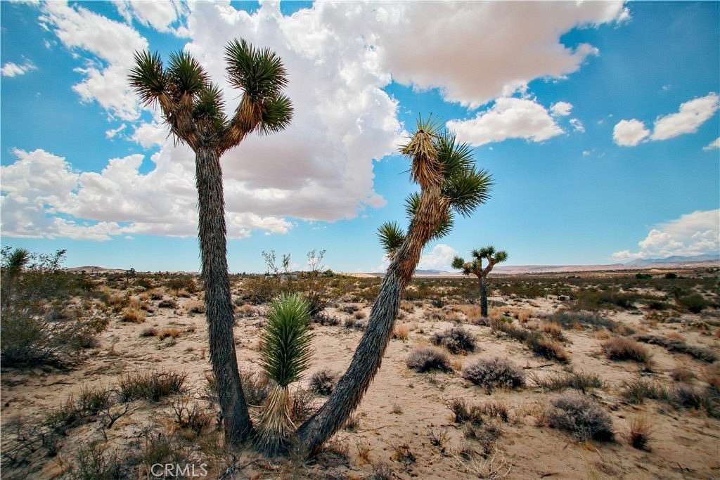 4.5 Acres of Land for Sale in Landers, California