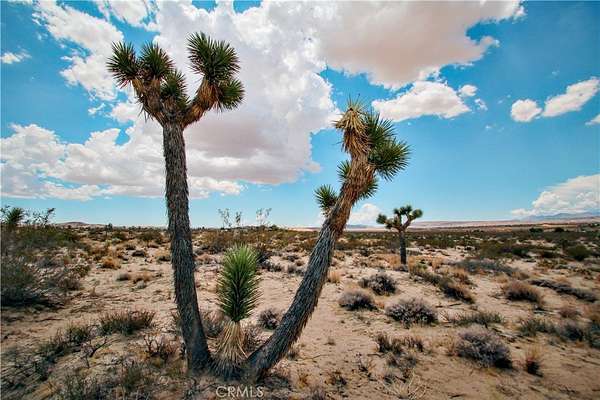 4.5 Acres of Land for Sale in Landers, California