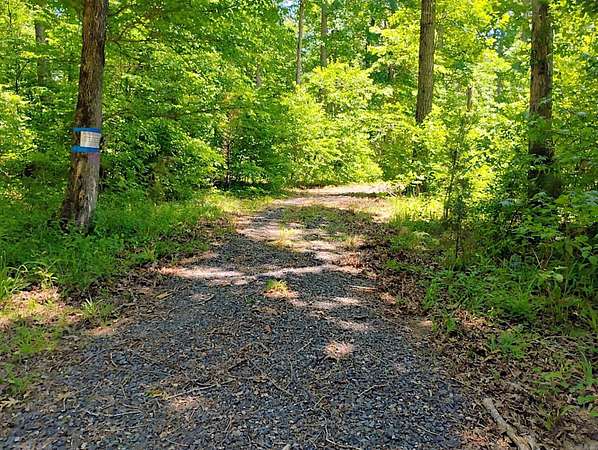 10.4 Acres of Recreational Land for Sale in Boles, Arkansas
