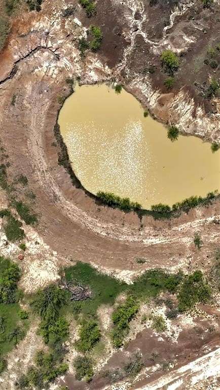 23.8 Acres of Recreational Land for Sale in Jacksboro, Texas