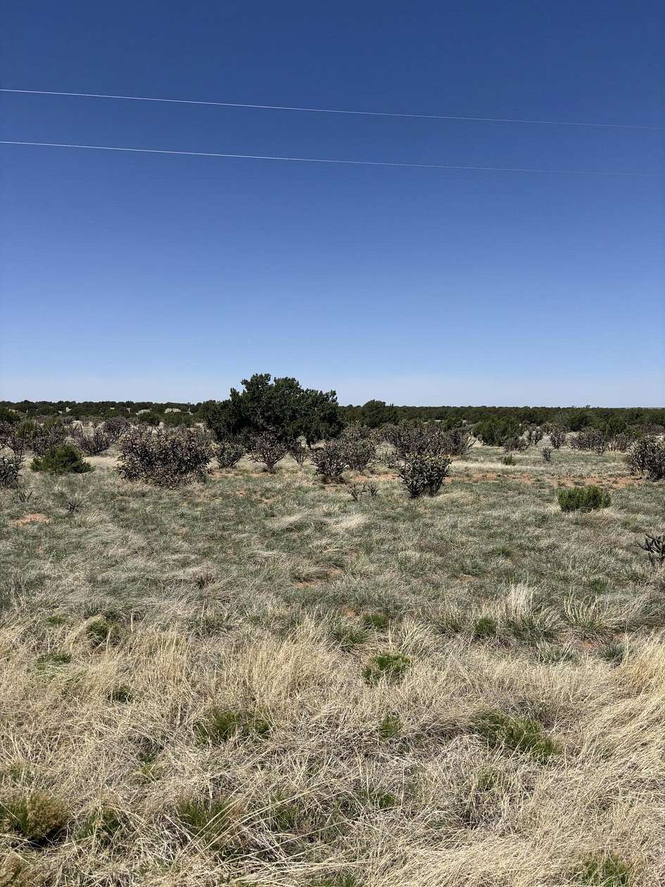 140 Acres of Land for Sale in Santa Rosa, New Mexico