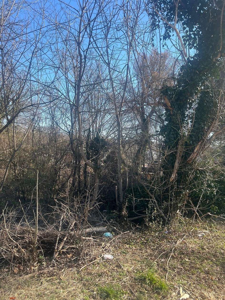 0.3 Acres of Land for Sale in Roanoke, Virginia