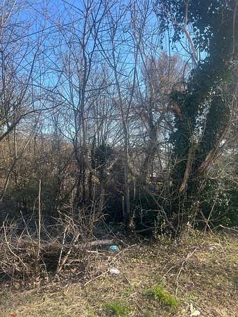 0.3 Acres of Residential Land for Sale in Roanoke, Virginia
