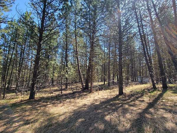 0.86 Acres of Residential Land for Sale in Cascade, Idaho