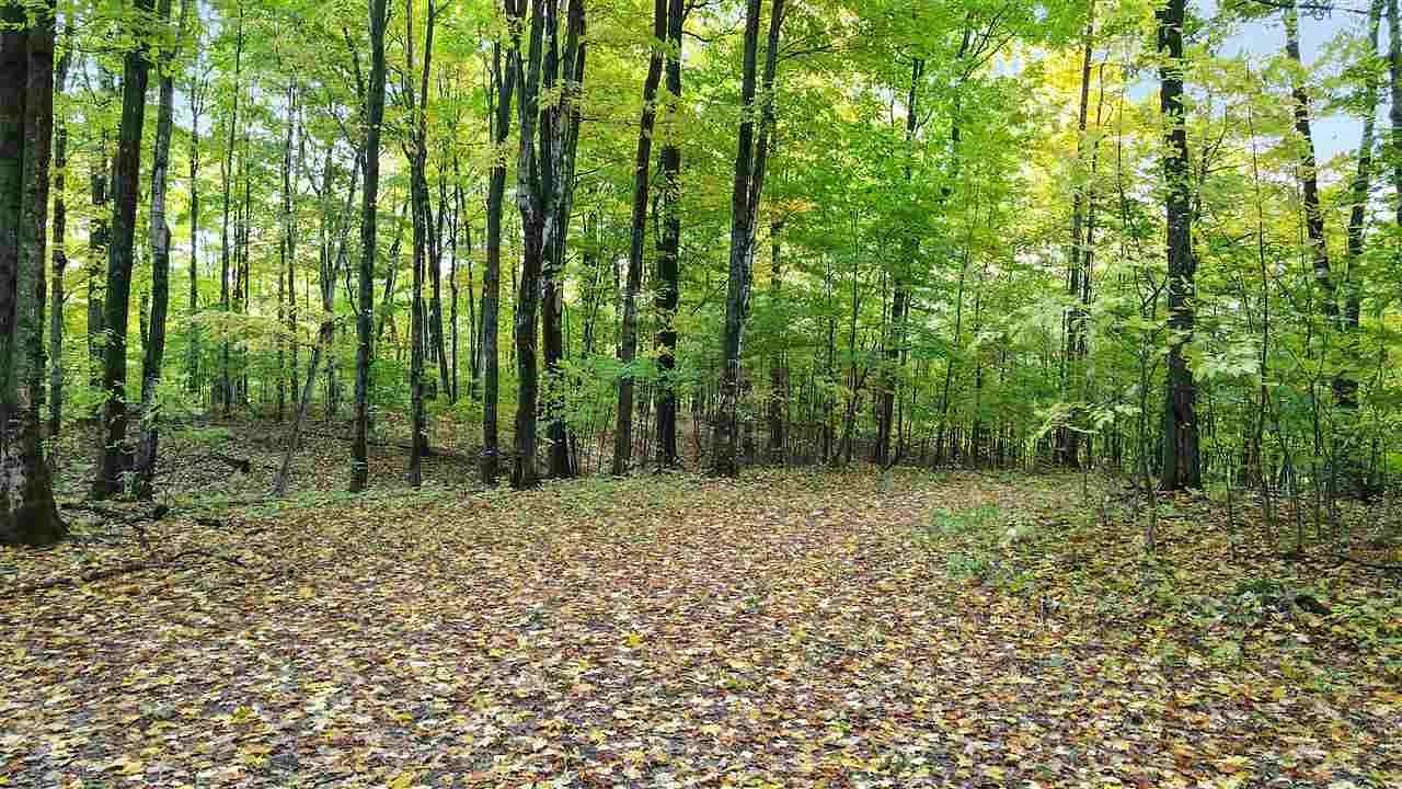 3.14 Acres of Residential Land for Sale in Harbor Springs, Michigan