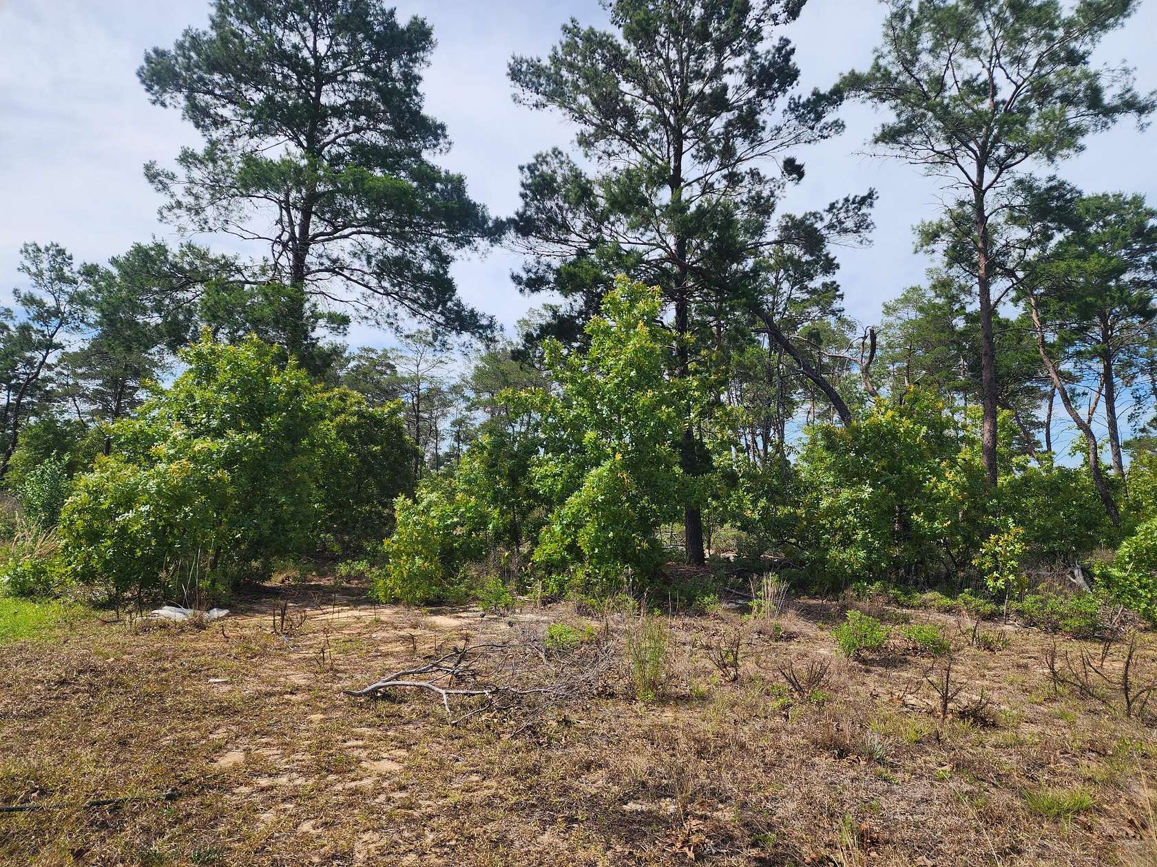 0.87 Acres of Residential Land for Sale in Freeport, Florida