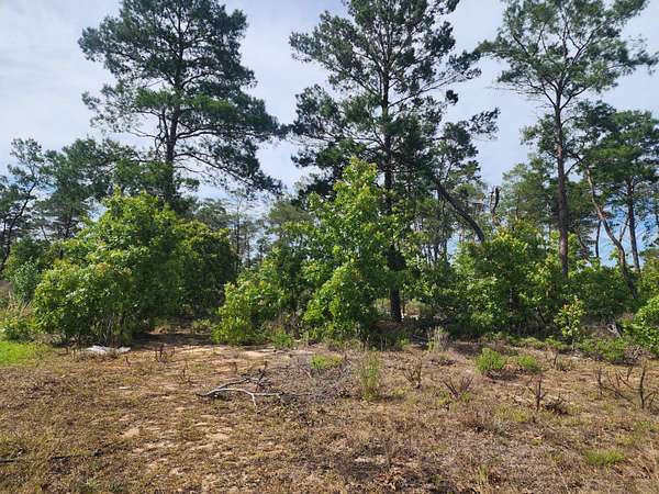 0.87 Acres of Residential Land for Sale in Freeport, Florida