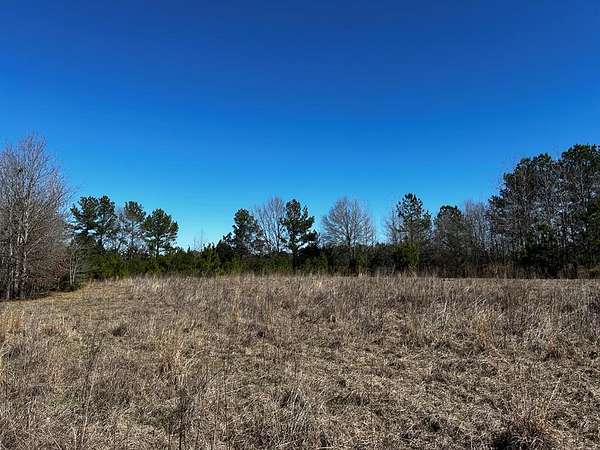 50 Acres of Recreational & Residential Land for Sale in Dotson, Texas