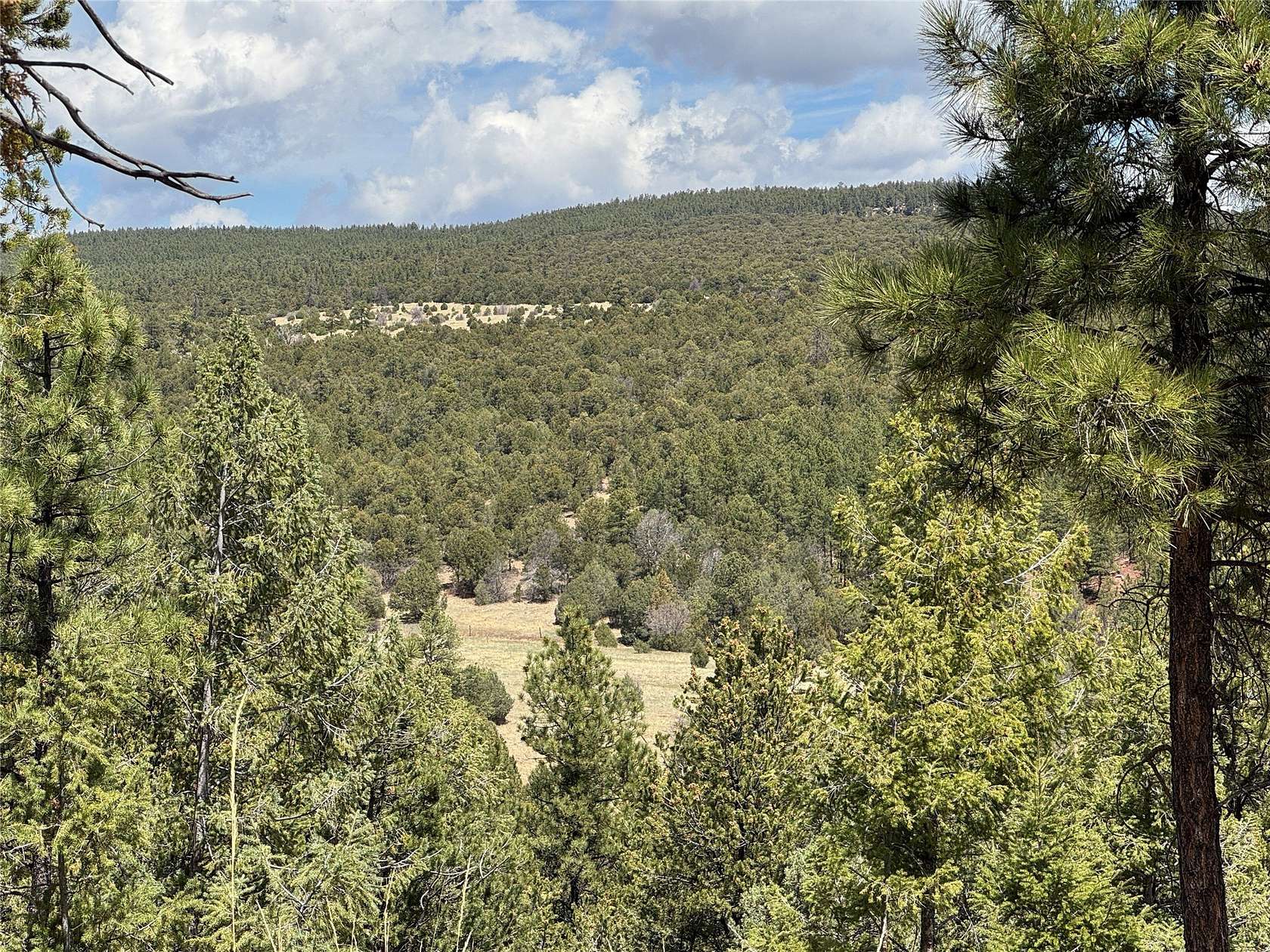 2.43 Acres of Residential Land for Sale in Pecos, New Mexico
