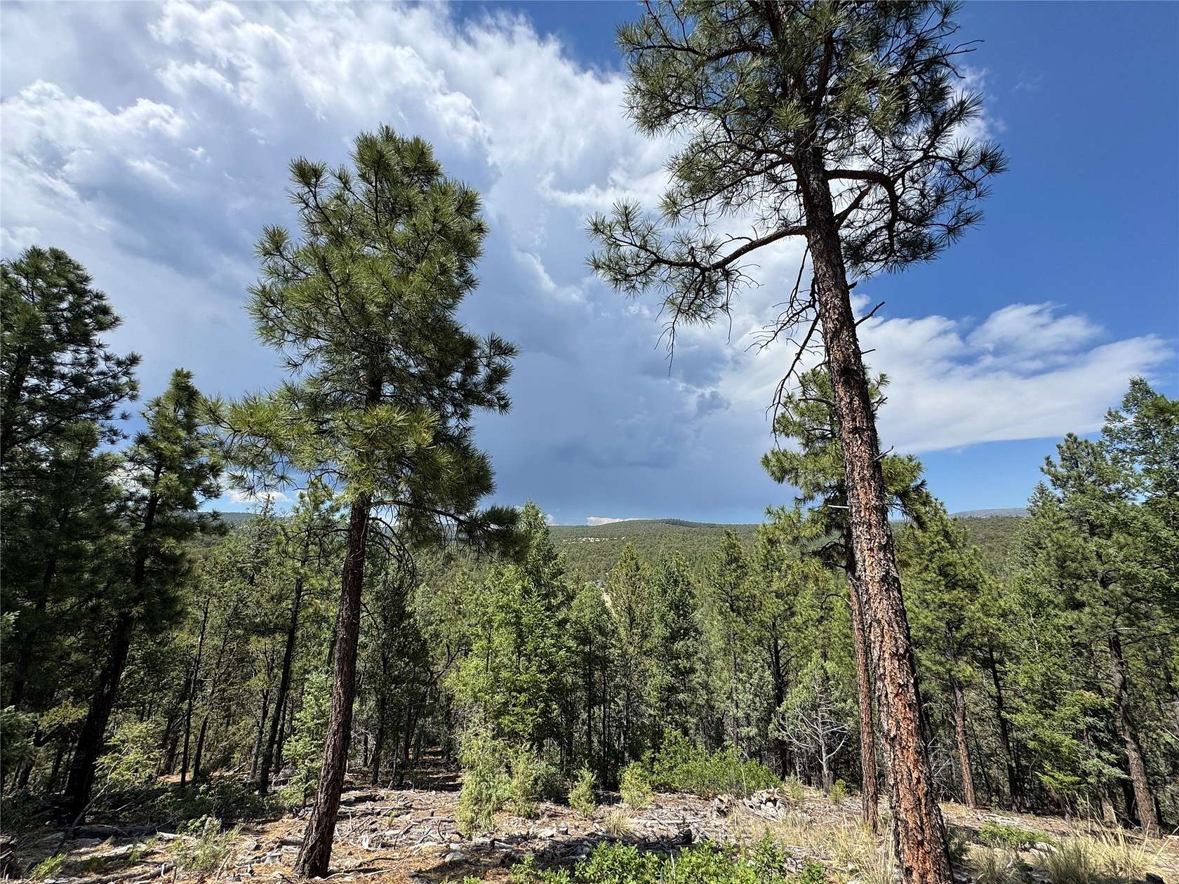 2.43 Acres of Residential Land for Sale in Pecos, New Mexico