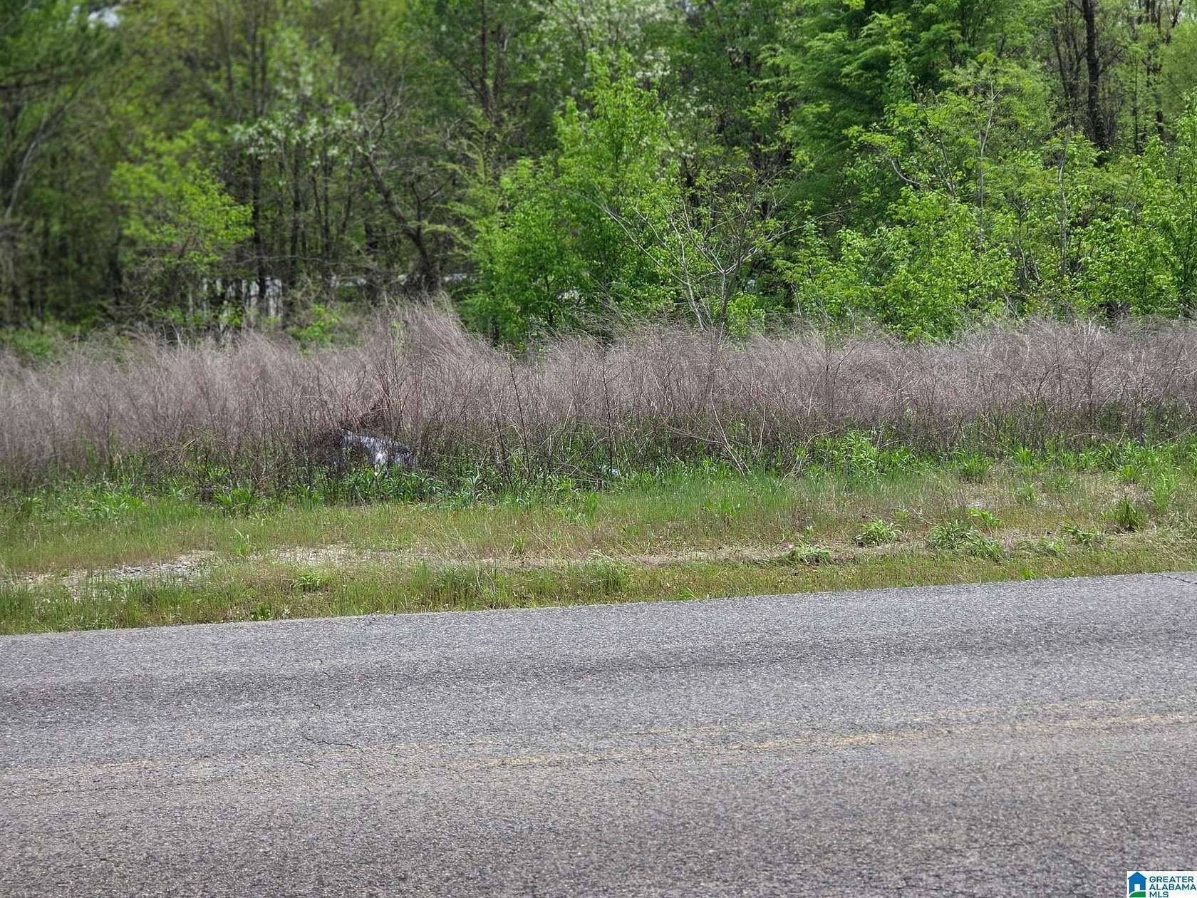 0.8 Acres of Land for Sale in Birmingham, Alabama