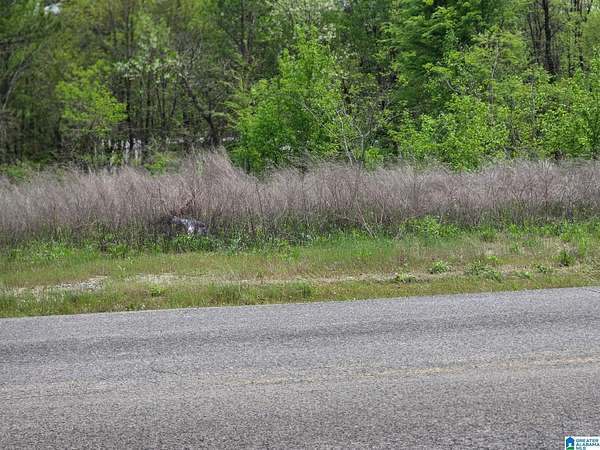 0.8 Acres of Land for Sale in Birmingham, Alabama