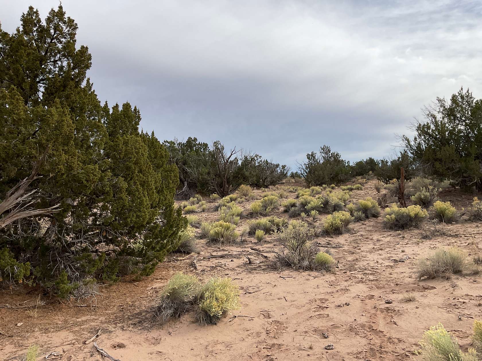 40.8 Acres of Recreational Land & Farm for Sale in St. Johns, Arizona