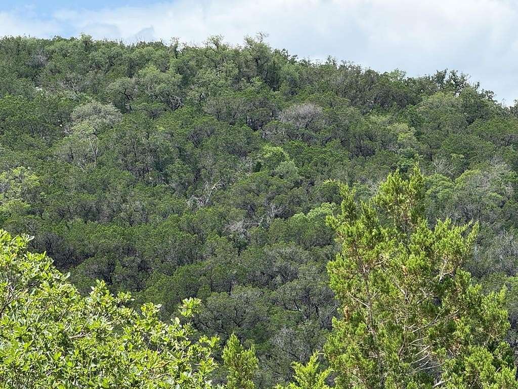 31.8 Acres of Recreational Land for Sale in Tarpley, Texas